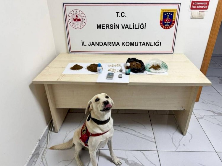 Mersin'de uyuşturucu operasyonu: 5 şüpheli tutuklandı