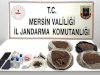 Mersin’de uyuşturucu operasyonu: 10,5 kilo bonzai ele geçirildi