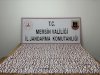 Mersin’de 5 binden fazla sentetik hapla yakalanan şüpheli tutuklandı