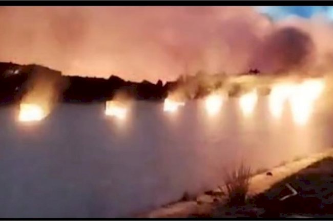 Tarsus’ta tavuk üretim çiftliğinde çıkan yangında binlerce civciv telef oldu