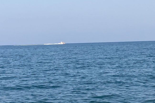 Erdemli'de köpekbalığı tedirginliği