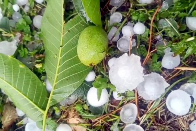Mersin'de şiddetli dolu yağışı etkili oldu