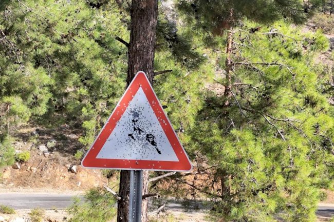 Bozyazı yayla yolunda trafik levhalarına kurşunlu saldırı