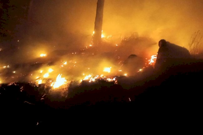 BOZYAZI'DA ALEVLERLE GECE MESAİSİ: FIRTINAYA RAĞMEN GEÇİT VERİLMEDİ!