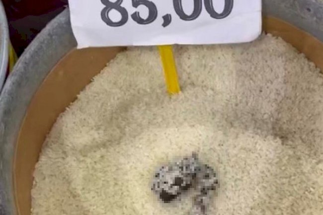 Mersin’de skandal görüntü: Pirinçten kedi dışkısı çıkan markete ceza