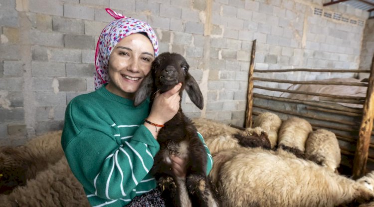 Hayvancılıkta Genç Girişimcilere Destek Büyükşehir’den