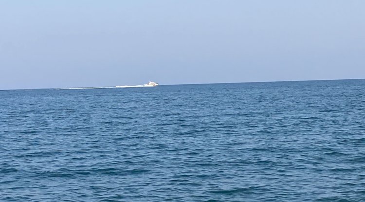 Erdemli'de köpekbalığı tedirginliği