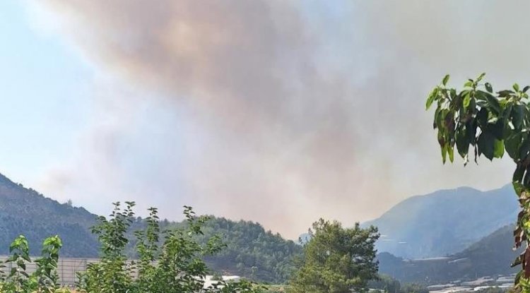 Mersin'de ikinci orman yangını