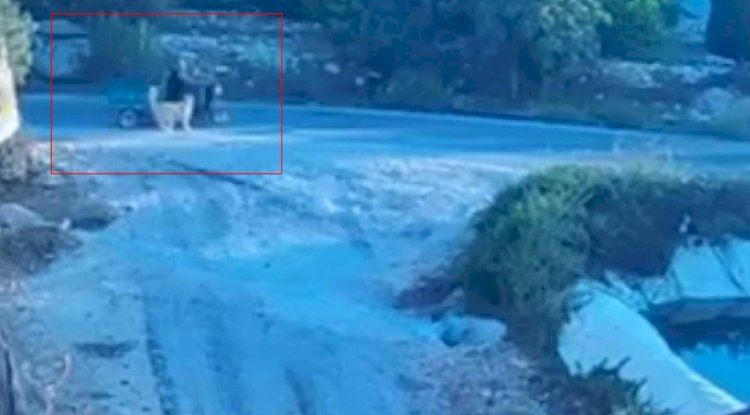 Köpek saldırınca motor devrildi