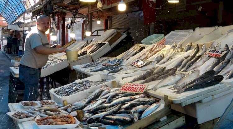 Akdeniz’de av yasağı bitti, tezgahlarda bolluk başladı