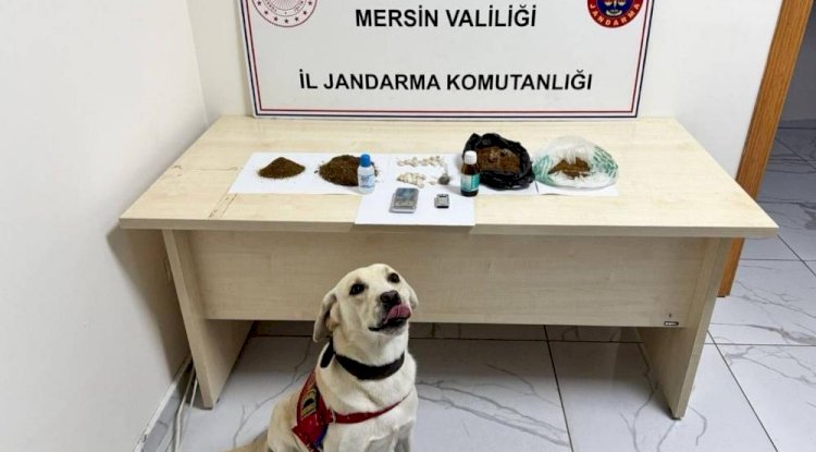 Mersin'de uyuşturucu operasyonu: 5 şüpheli tutuklandı
