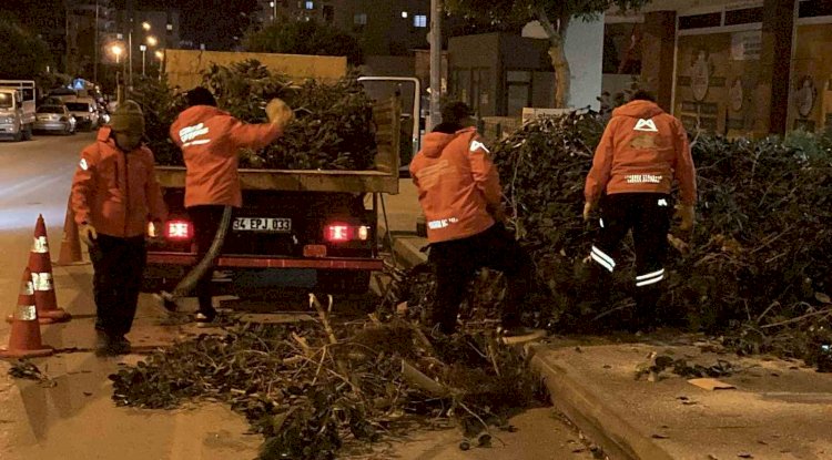 Şiddetli Rüzgar Erdemli’de Ağaçları Devirdi