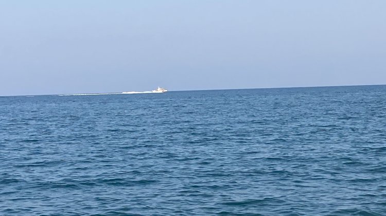 Erdemli'de köpekbalığı tedirginliği