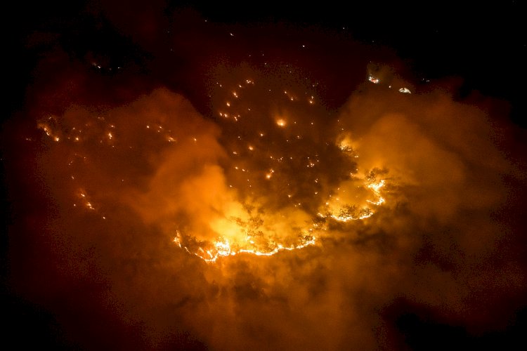 Silifke'deki orman yangını söndürüldü, hasar tespit çalışmaları başladı