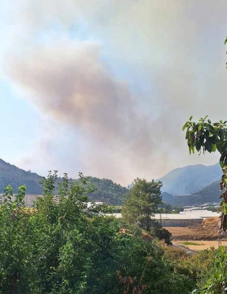 Mersin'de ikinci orman yangını