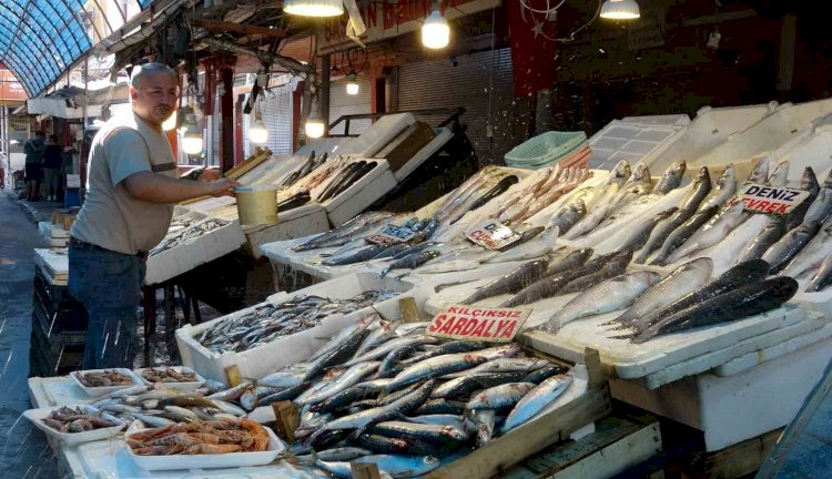 Akdeniz’de av yasağı bitti, tezgahlarda bolluk başladı