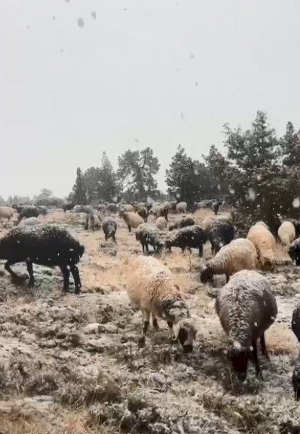 Erdemli'nin yüksek rakımlı bölgelerinde kar yağışı