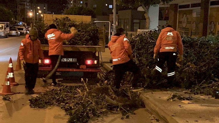 Şiddetli Rüzgar Erdemli’de Ağaçları Devirdi